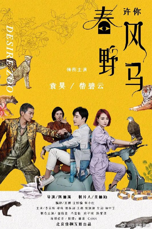 名称