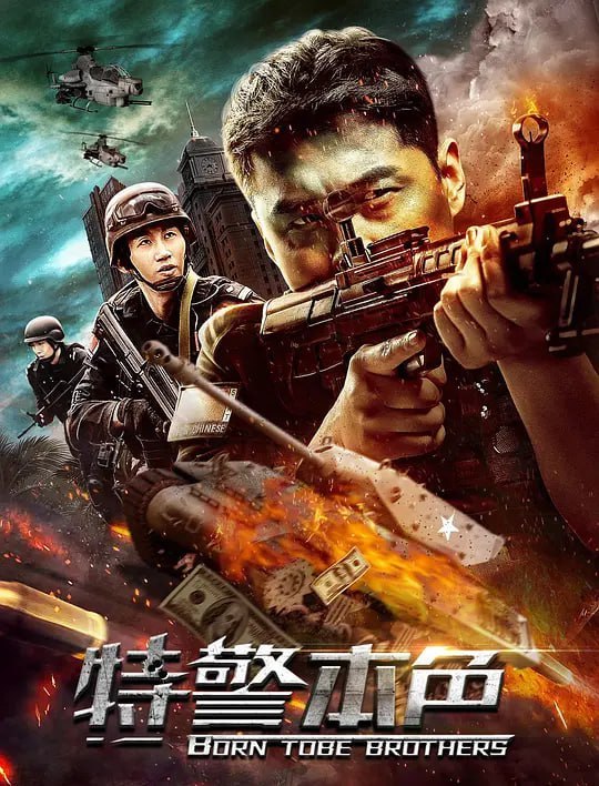 名称
