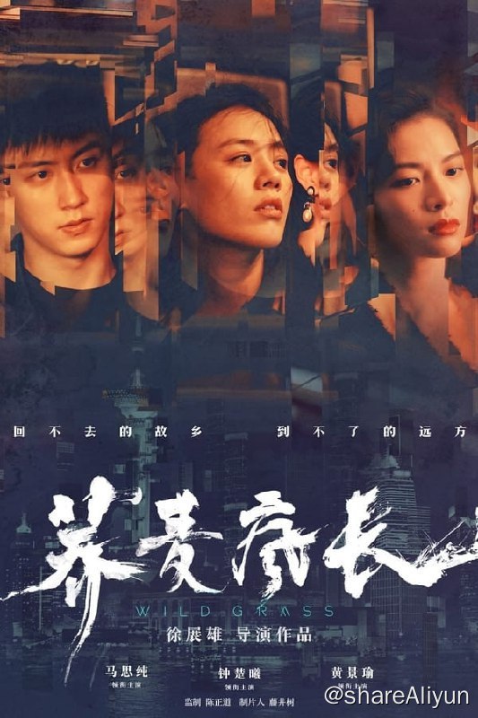 名称