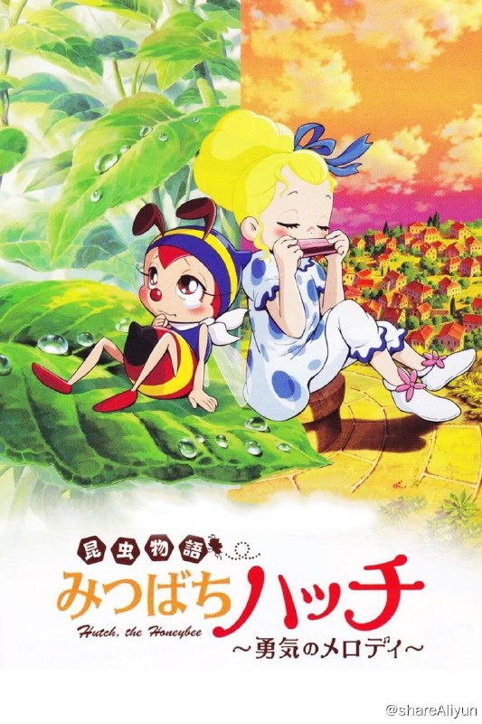 名称