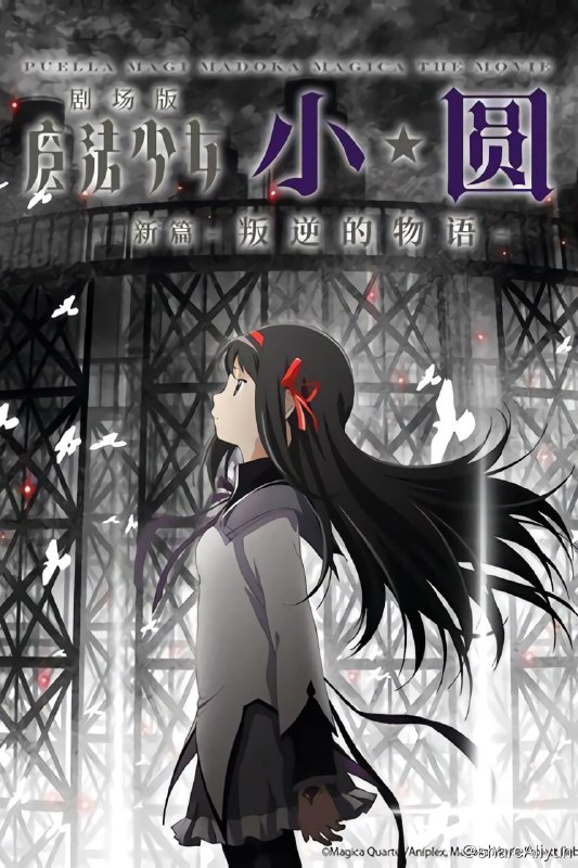 名称