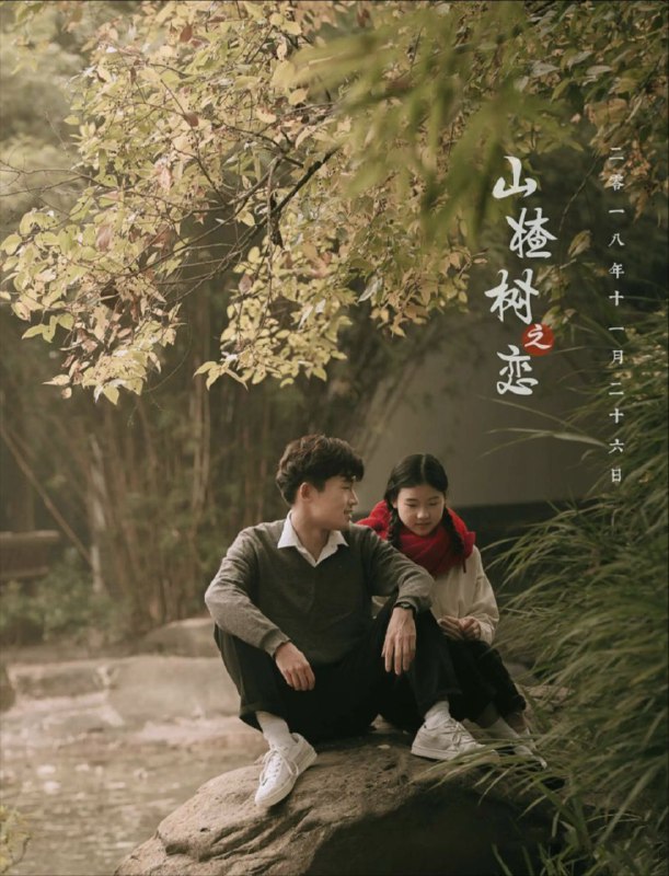 名称