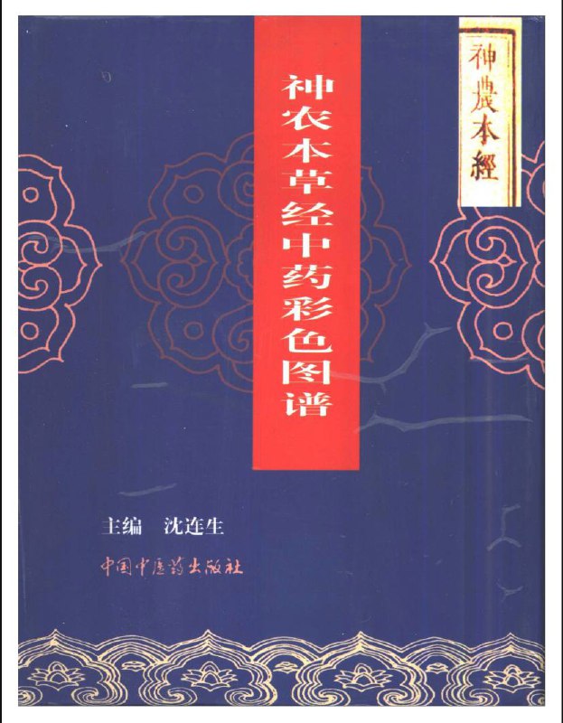 名称