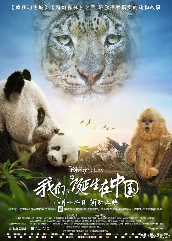 名称