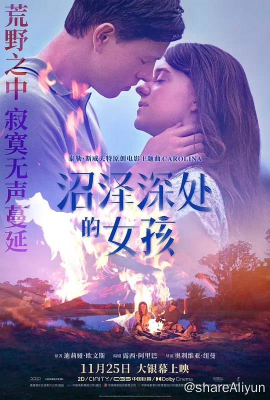 名称