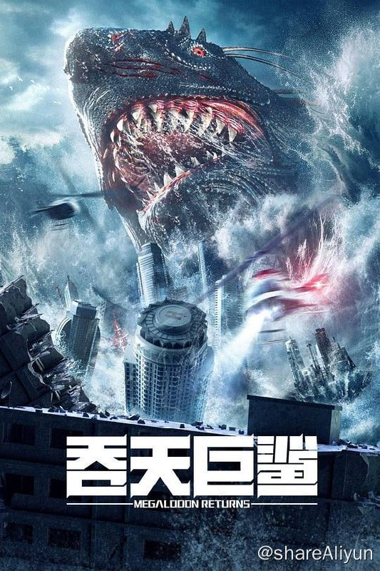 名称