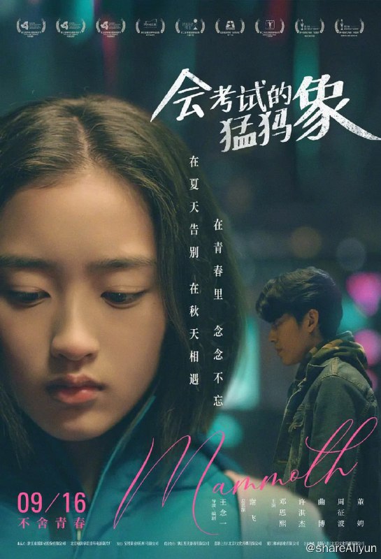 名称