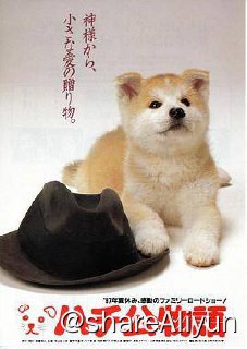 名称