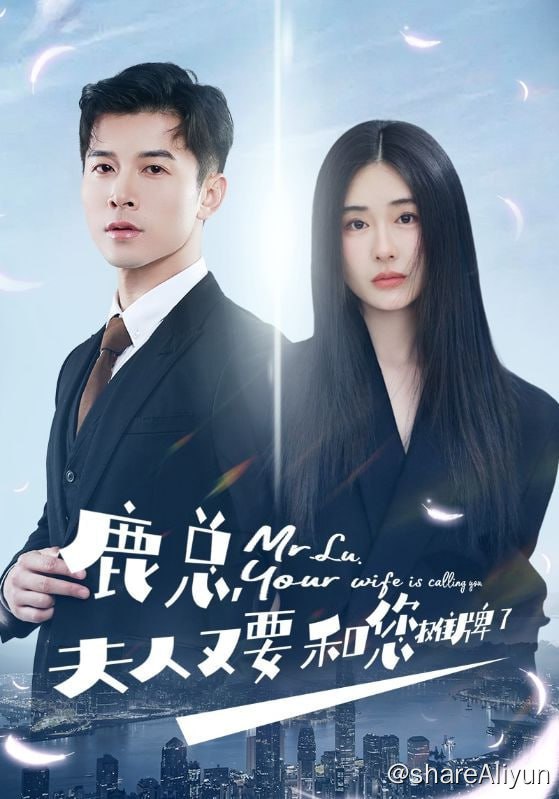 名称