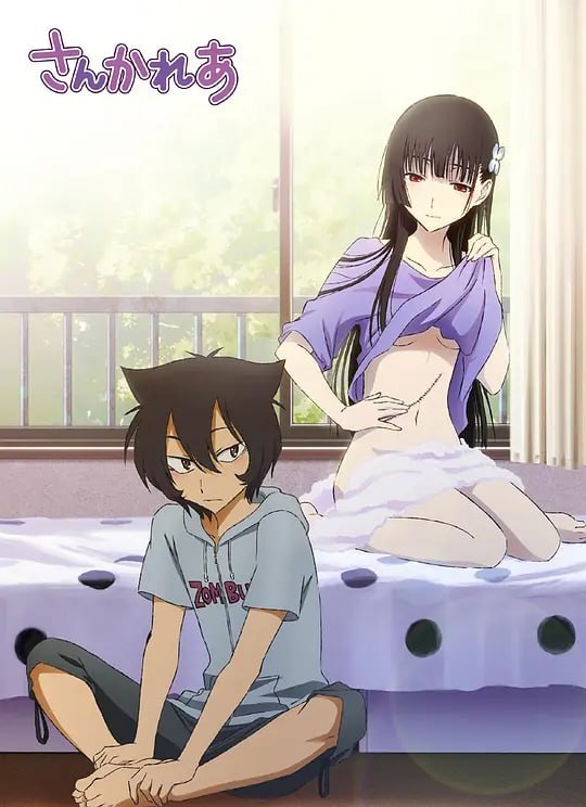 名称