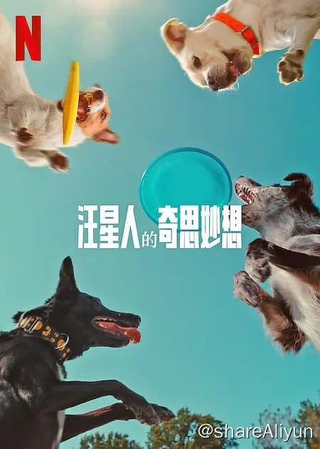 名称
