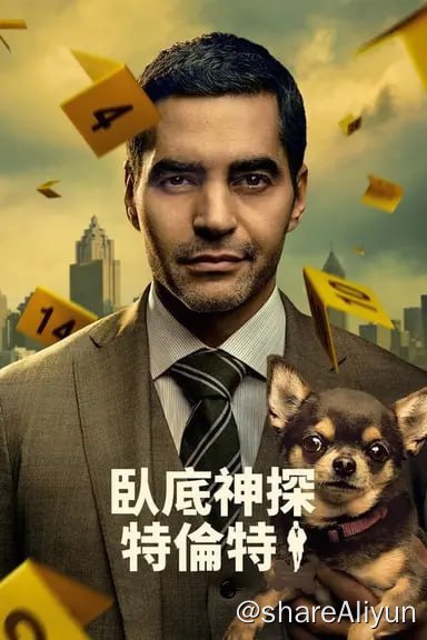名称