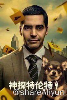 名称