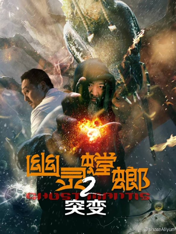 名称