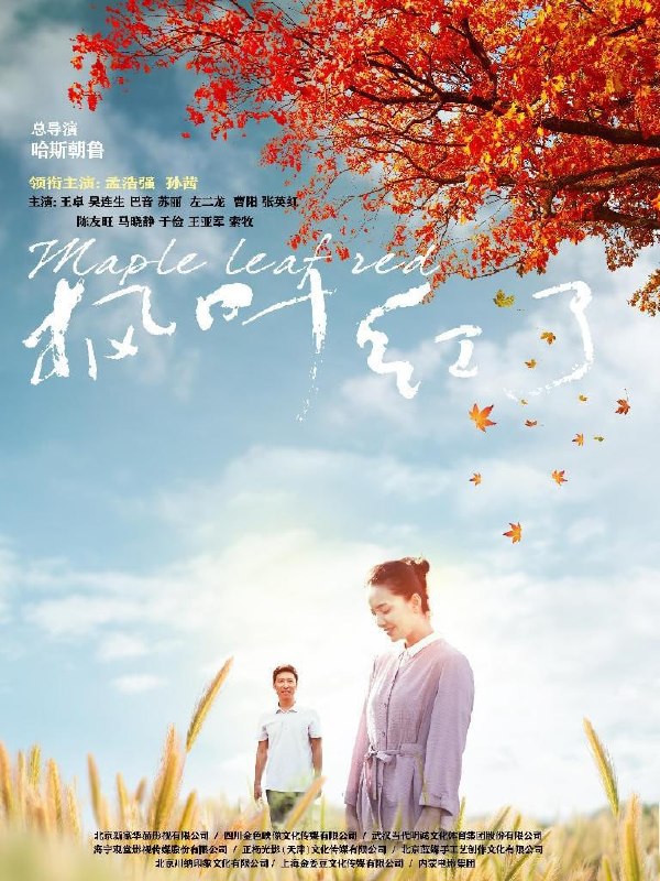 名称