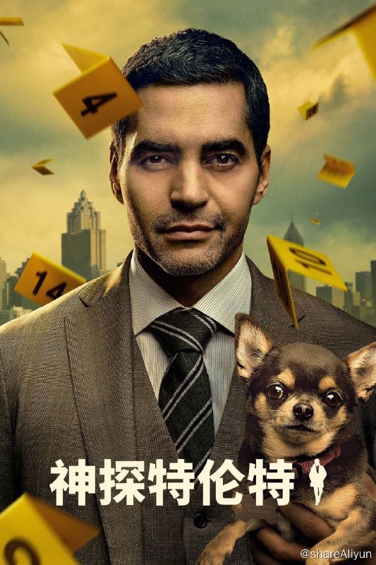 名称